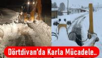 Dörtdivan'da Karla Mücadele!